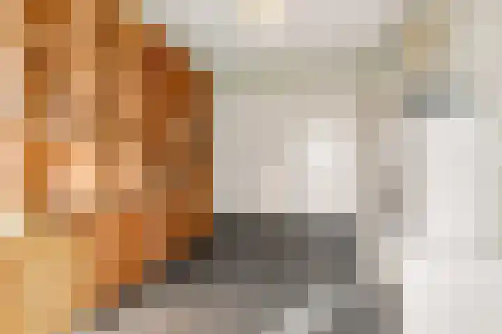 Gaarden 2 c Beltrum thumbnail 25