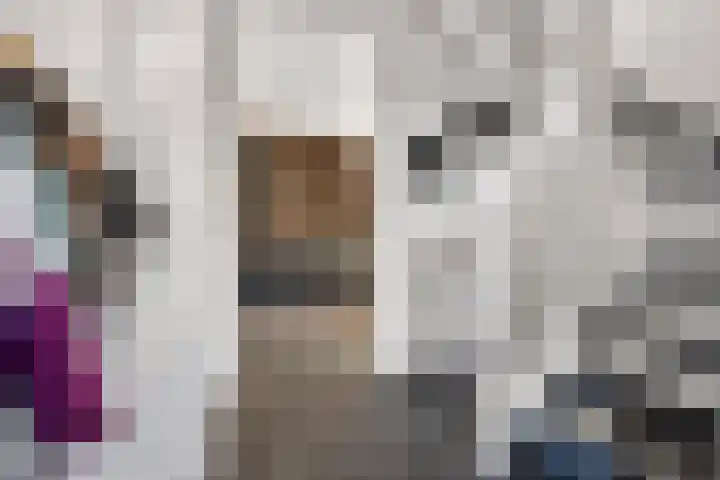 Gaarden 2 c Beltrum thumbnail 27