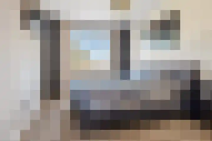 Gaarden 2 c Beltrum thumbnail 30