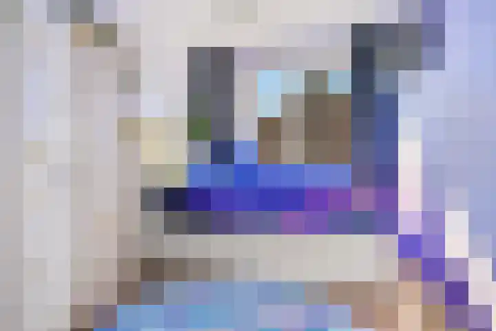 Gaarden 2 c Beltrum thumbnail 32