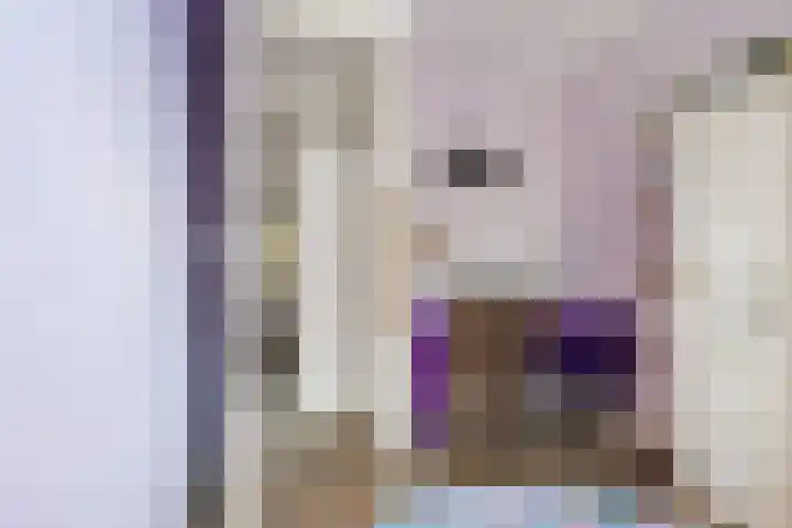 Gaarden 2 c Beltrum thumbnail 33