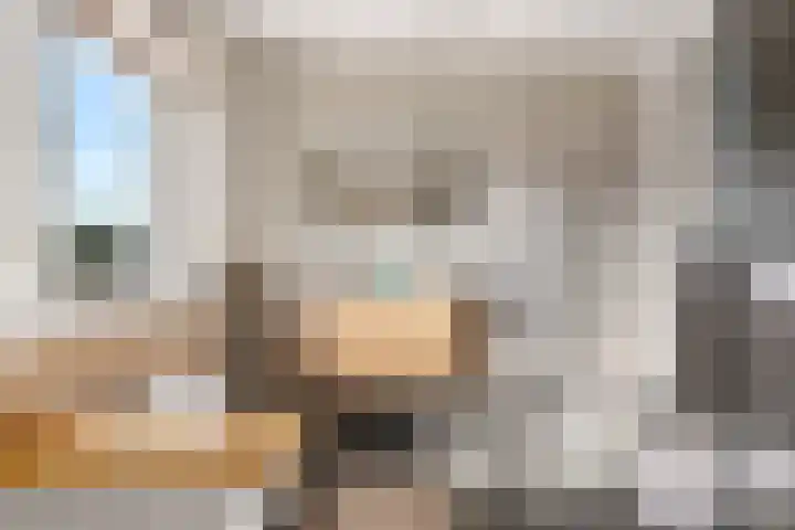 Gaarden 2 c Beltrum thumbnail 38