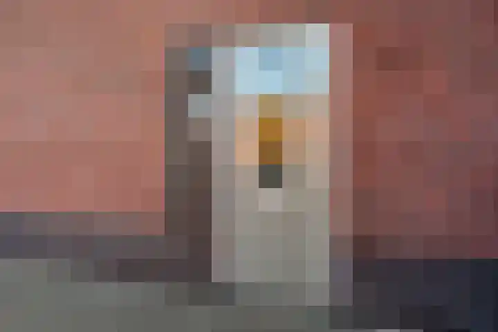 Gaarden 2 c Beltrum thumbnail 45