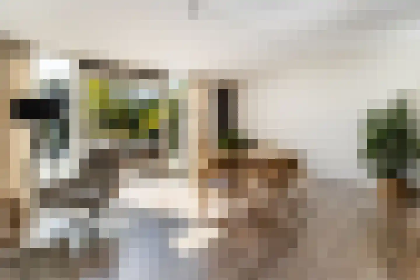 Gaardendreef 31 Amersfoort thumbnail 12