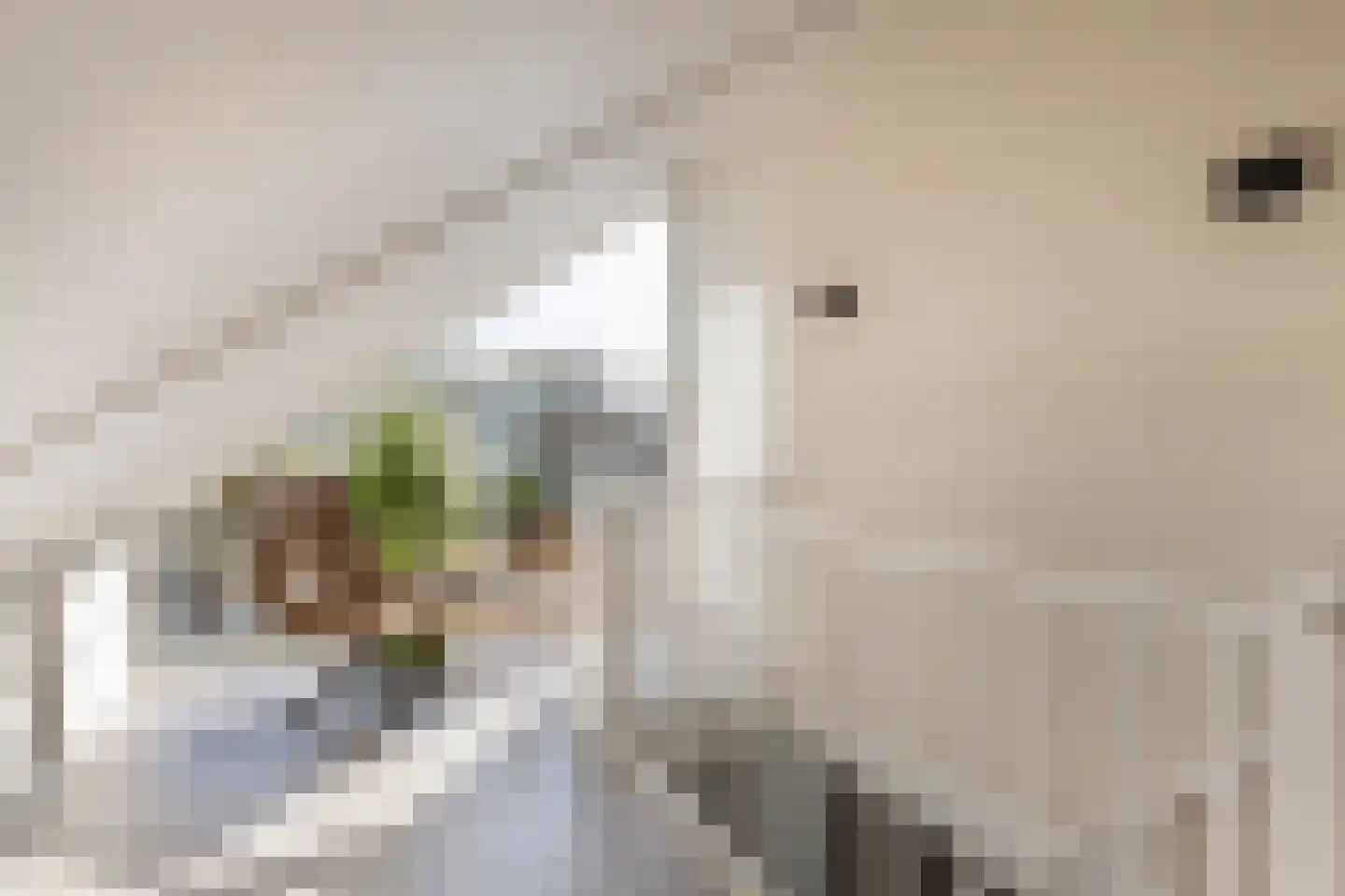 Gaardendreef 31 Amersfoort thumbnail 35