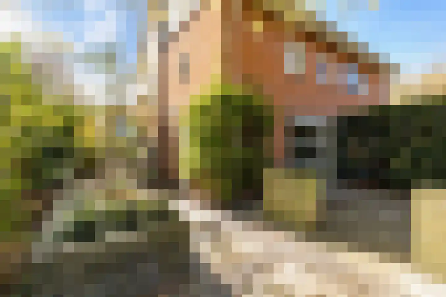 Gaardendreef 31 Amersfoort thumbnail 44