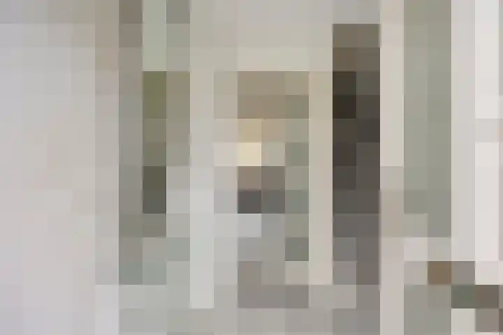 Gaarderslag 3 Gouda thumbnail 10