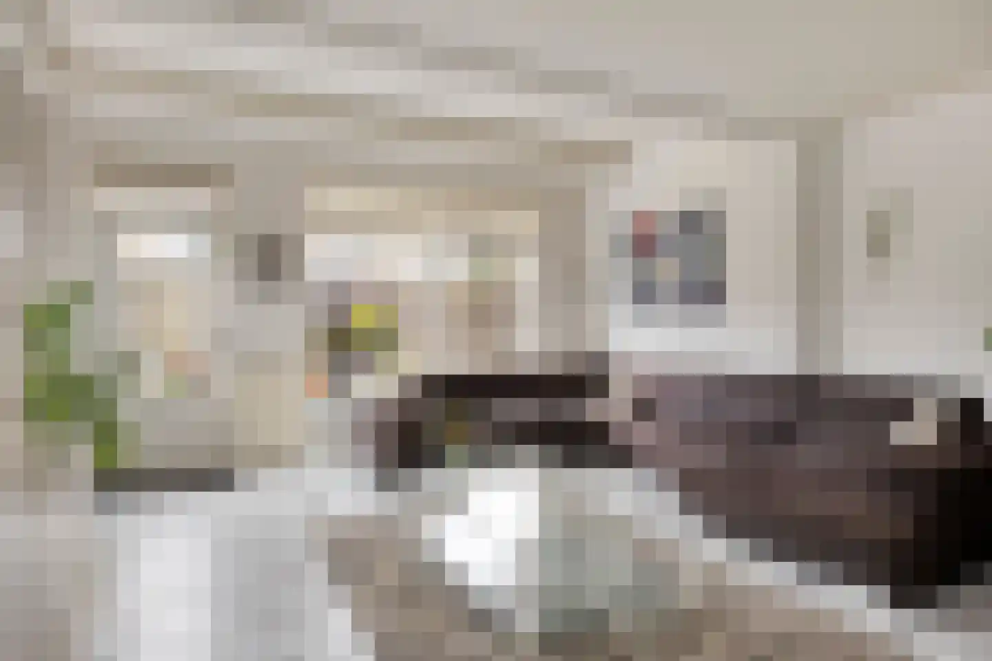 Gaarderslag 3 Gouda thumbnail 11