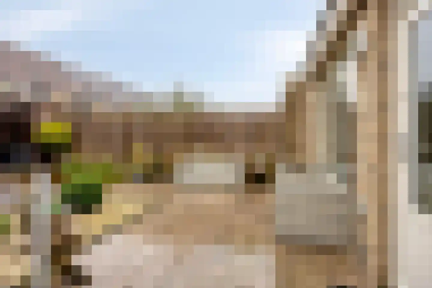 Gaarderslag 3 Gouda thumbnail 12