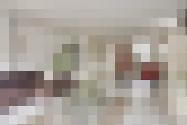 Gaarderslag 3 Gouda thumbnail 16