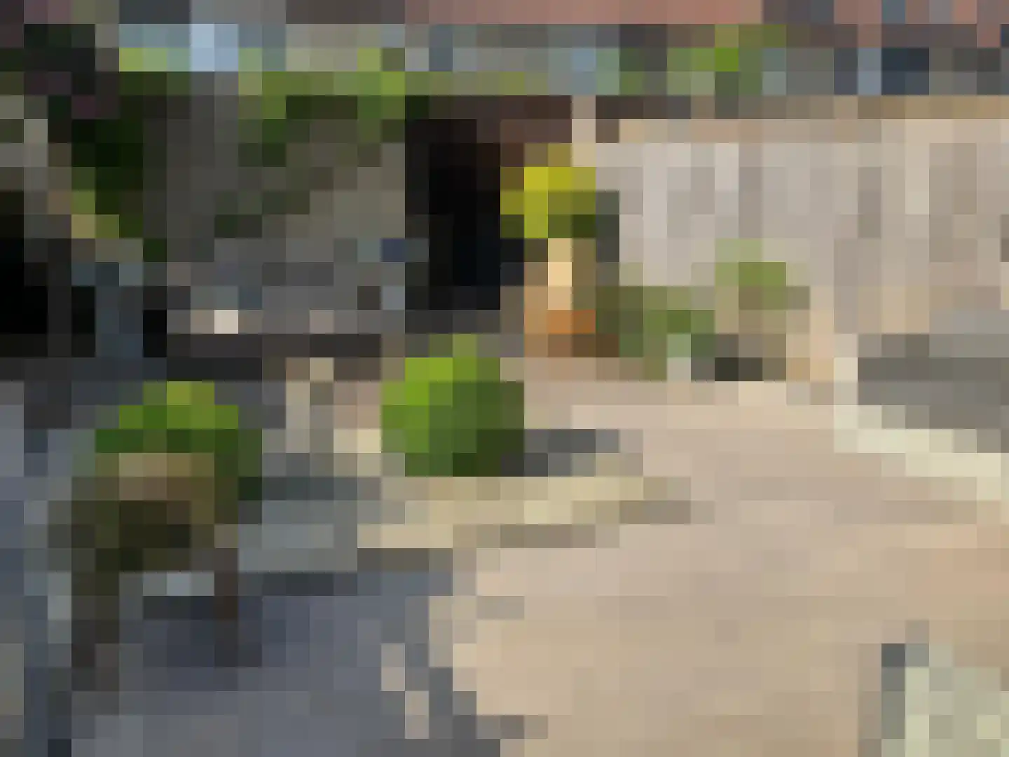 Gaarderslag 3 Gouda thumbnail 16