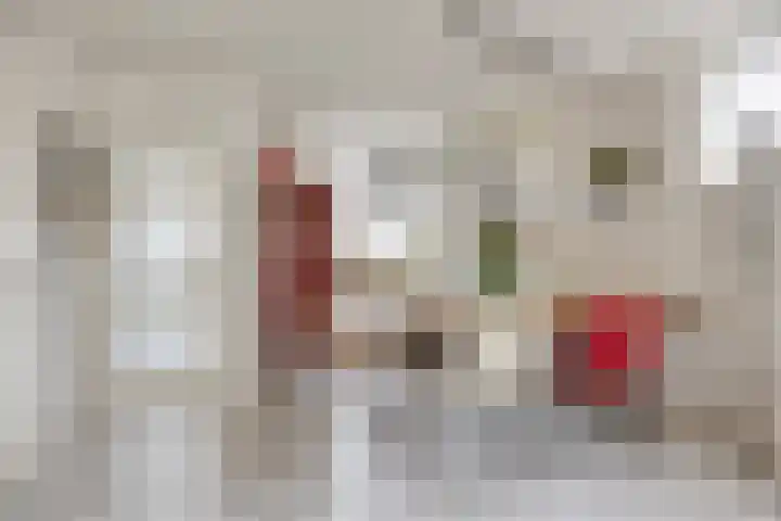 Gaarderslag 3 Gouda thumbnail 17