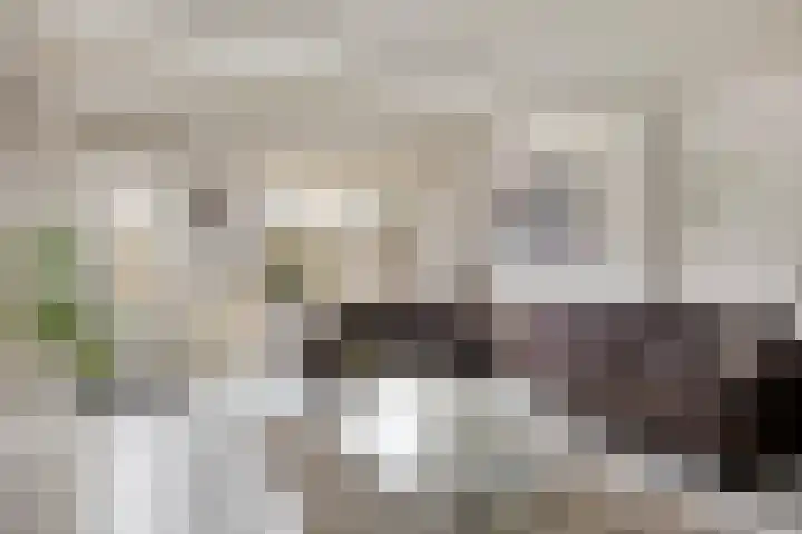 Gaarderslag 3 Gouda thumbnail 18