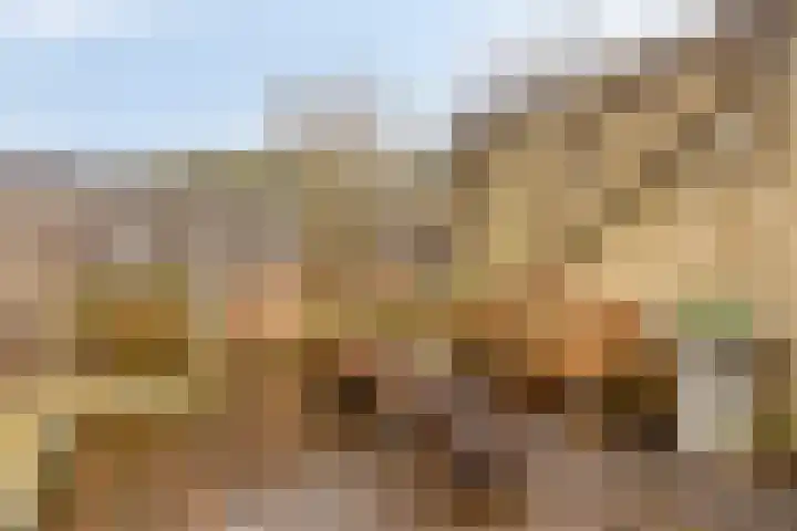 Gaarderslag 3 Gouda thumbnail 19