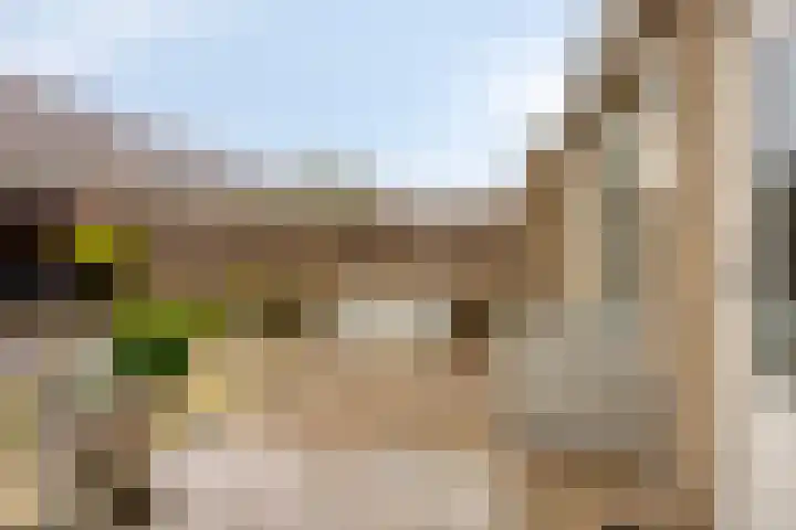 Gaarderslag 3 Gouda thumbnail 20