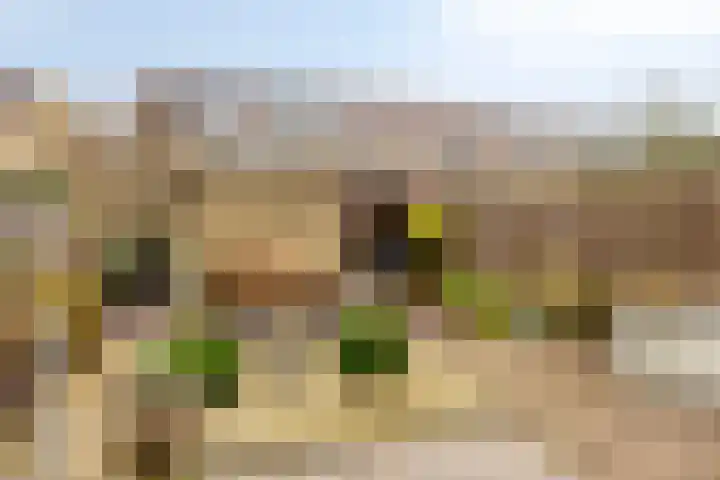Gaarderslag 3 Gouda thumbnail 21