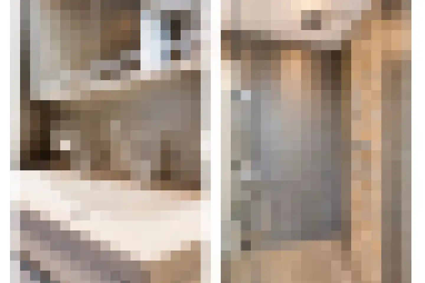 Gaarderslag 3 Gouda thumbnail 21