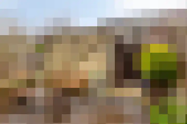 Gaarderslag 3 Gouda thumbnail 23