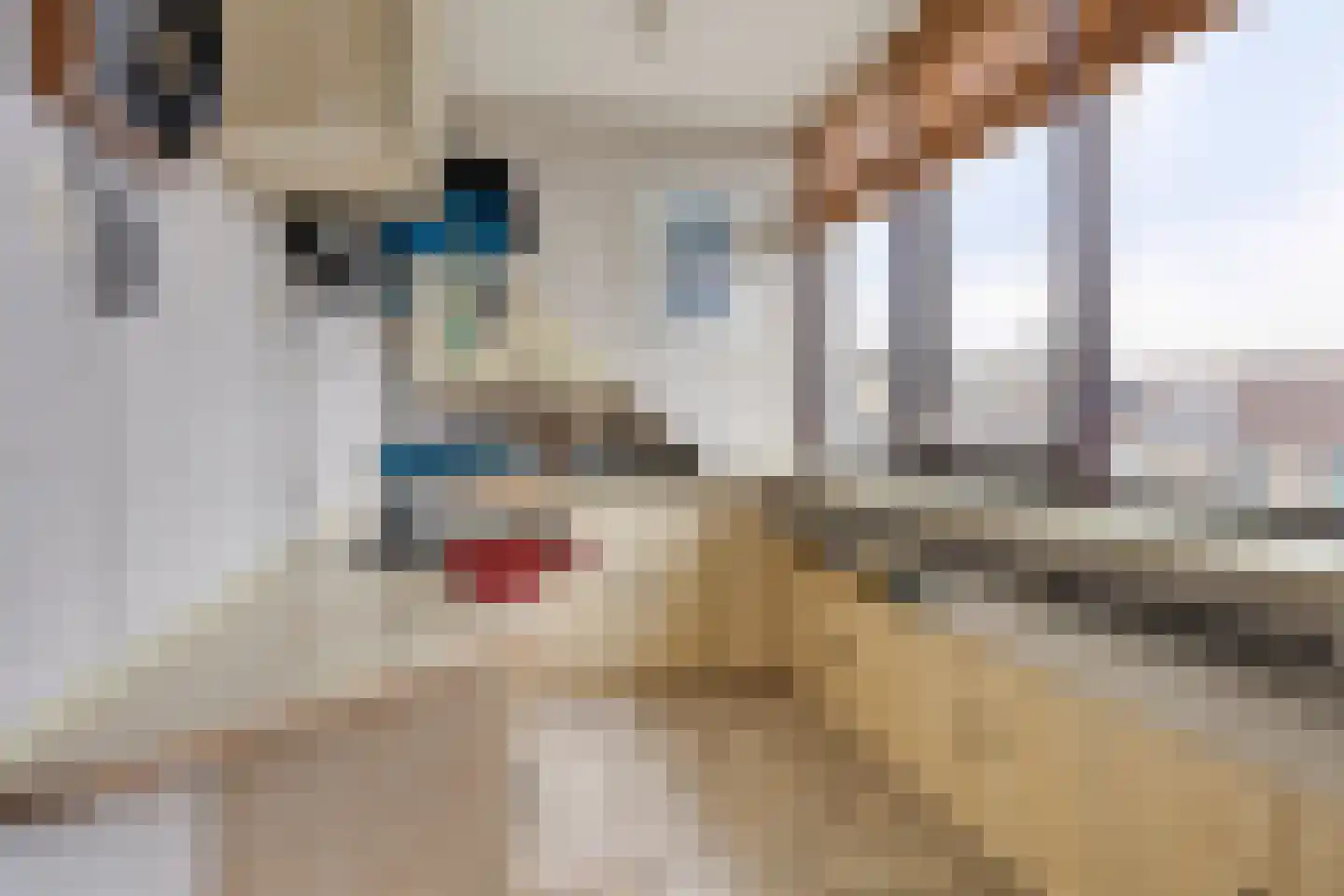 Gaarderslag 3 Gouda thumbnail 24