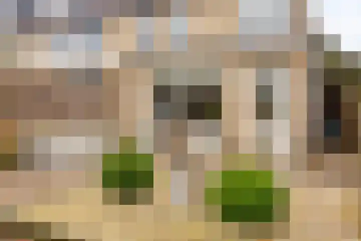 Gaarderslag 3 Gouda thumbnail 24