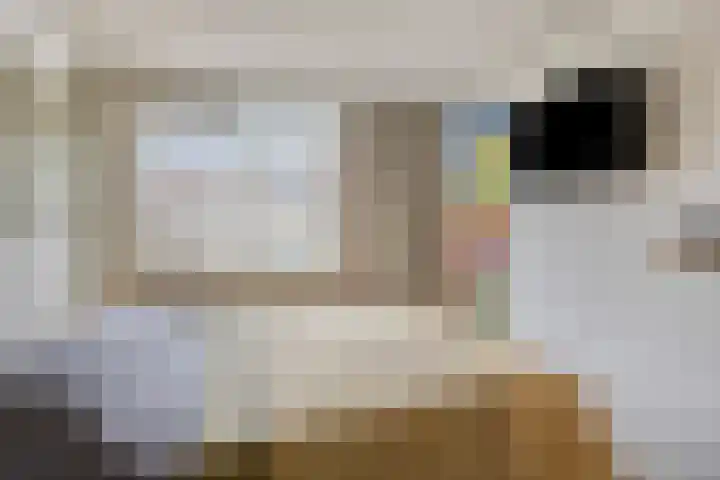 Gaarderslag 3 Gouda thumbnail 27