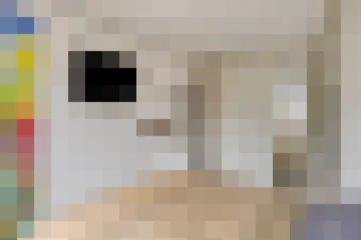 Gaarderslag 3 Gouda thumbnail 28