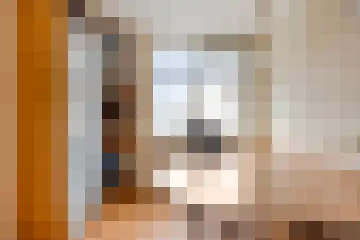 Gaarderslag 3 Gouda thumbnail 31