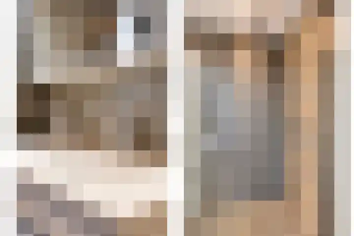 Gaarderslag 3 Gouda thumbnail 34