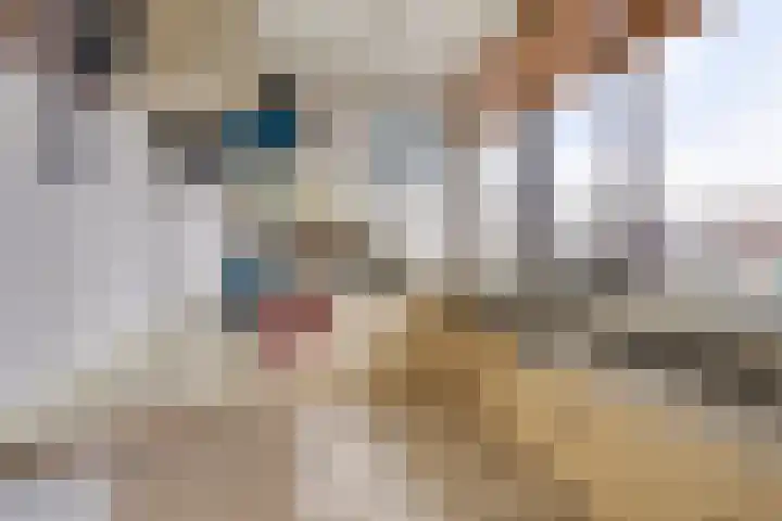 Gaarderslag 3 Gouda thumbnail 36