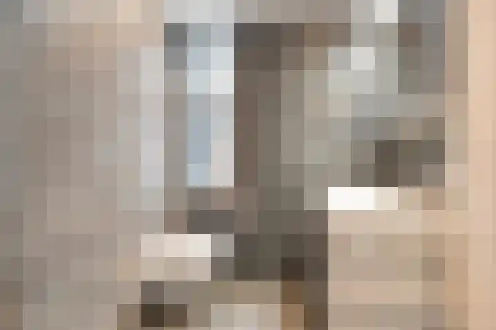 Gaarderslag 3 Gouda thumbnail 4