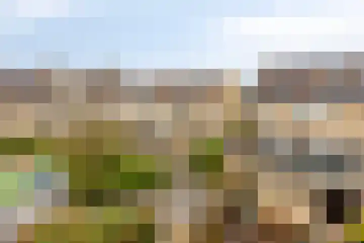 Gaarderslag 3 Gouda thumbnail 41