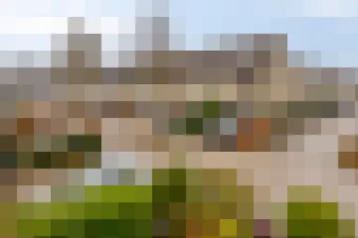 Gaarderslag 3 Gouda thumbnail 42