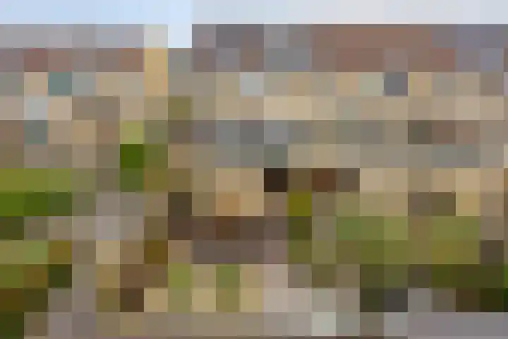 Gaarderslag 3 Gouda thumbnail 43