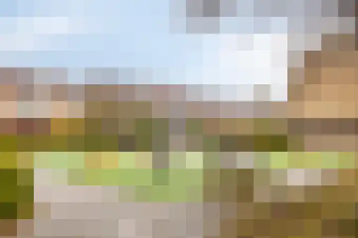 Gaarderslag 3 Gouda thumbnail 44