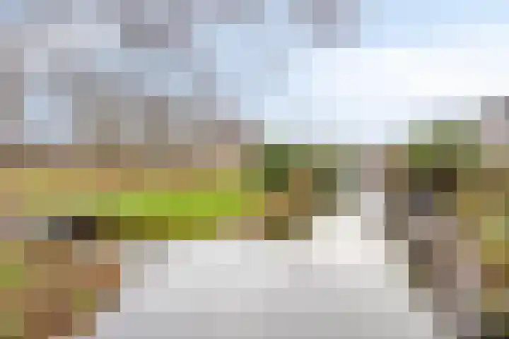 Gaarderslag 3 Gouda thumbnail 46