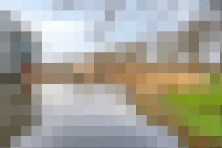Gaarderslag 3 Gouda thumbnail 47