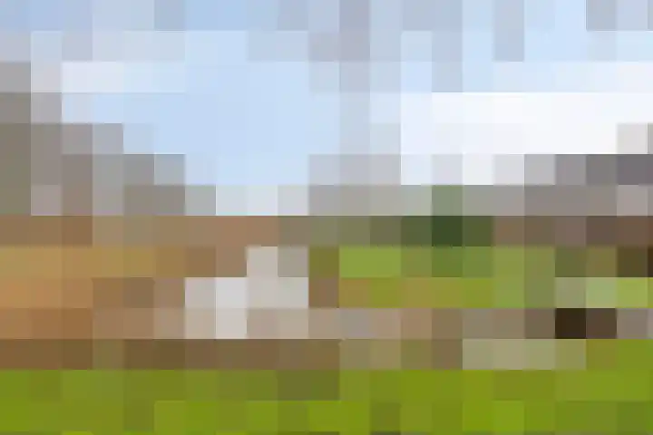Gaarderslag 3 Gouda thumbnail 48
