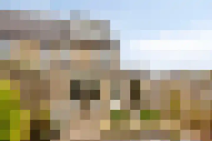Gaarderslag 3 Gouda thumbnail 5