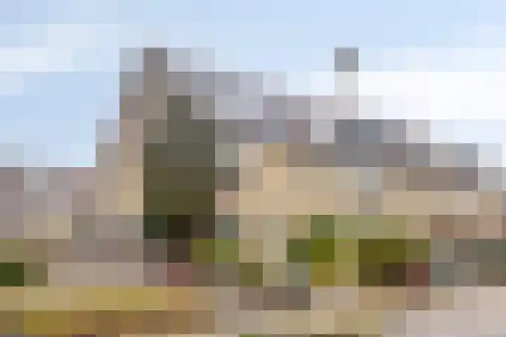 Gaarderslag 3 Gouda thumbnail 6