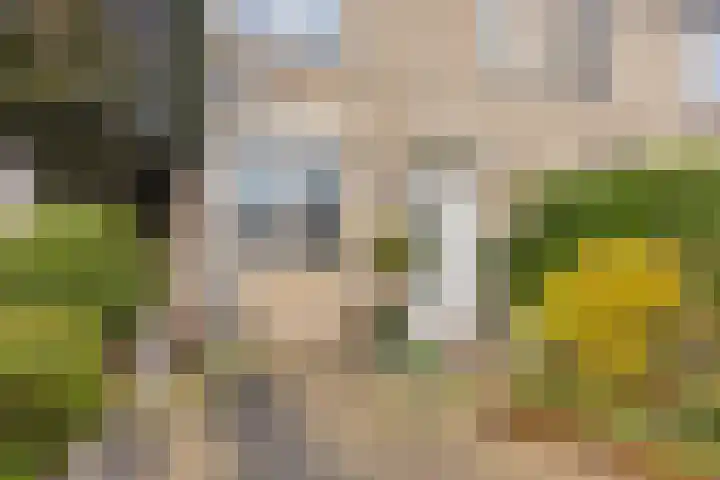 Gaarderslag 3 Gouda thumbnail 8