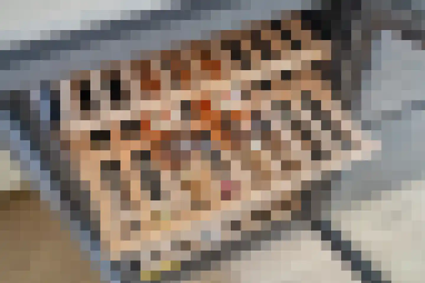 Gaarderstraat 12 Delfgauw thumbnail 25