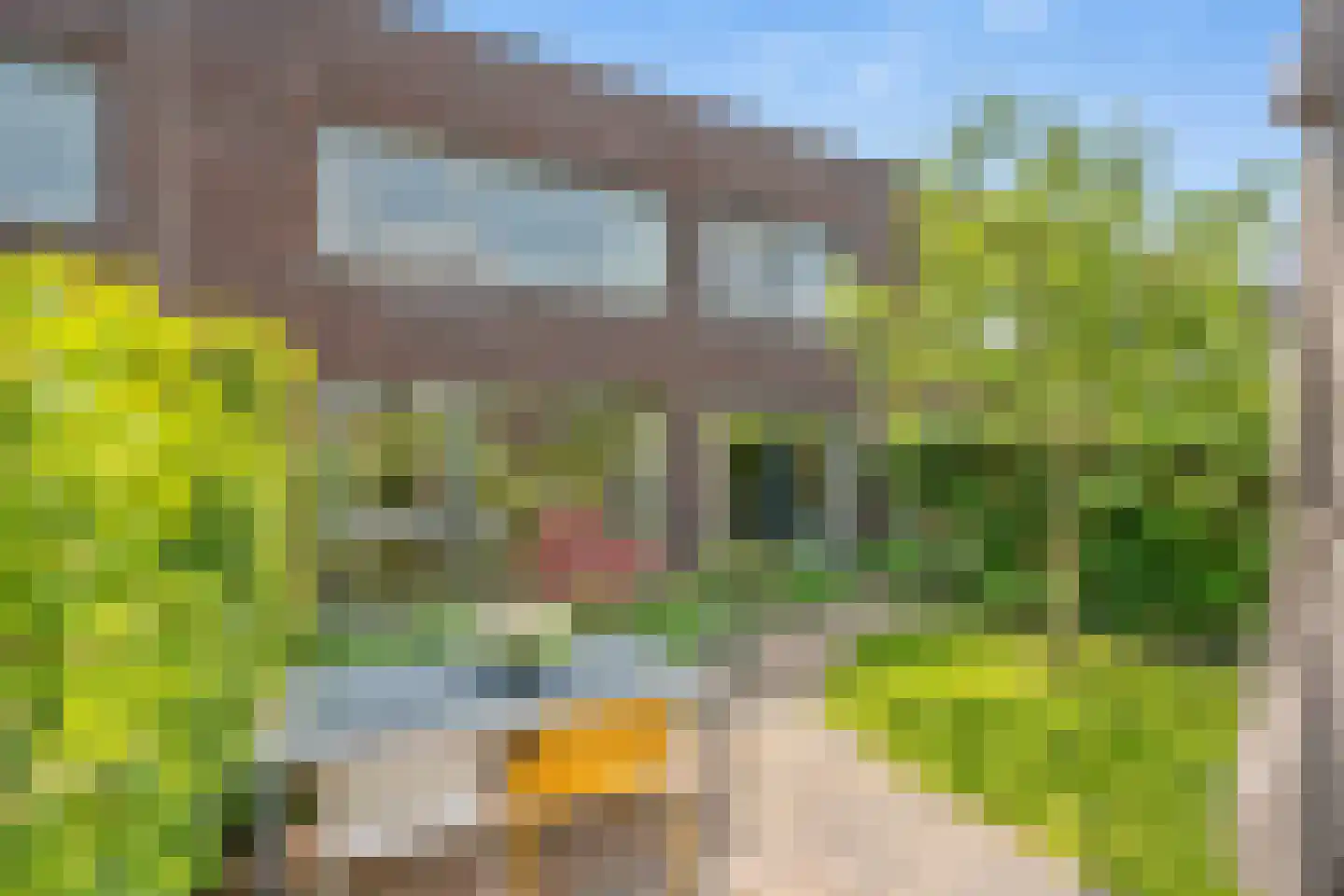 Gaarderstraat 12 Delfgauw thumbnail 27