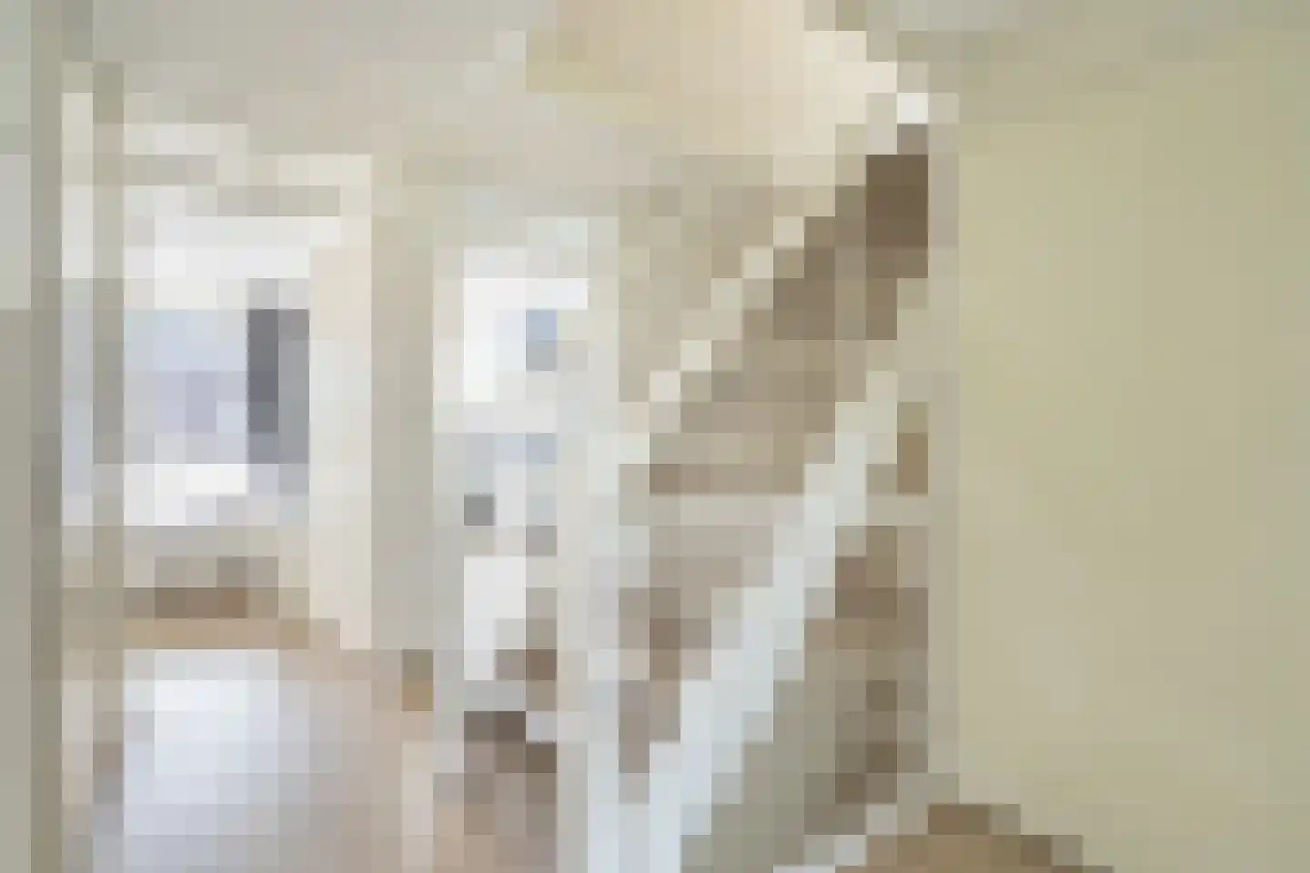Gaarderstraat 12 Delfgauw thumbnail 30