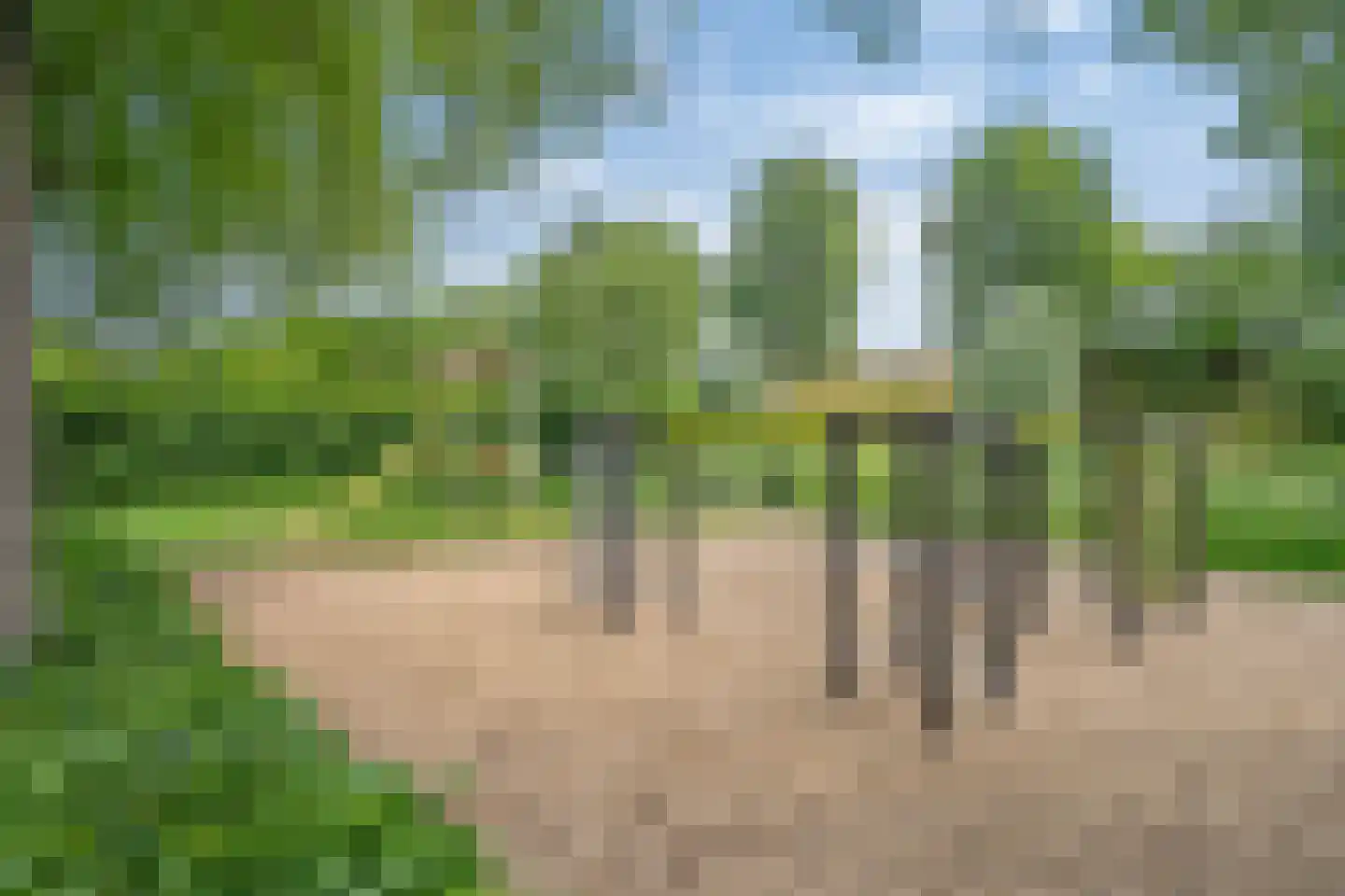 Gaarderstraat 12 Delfgauw thumbnail 52