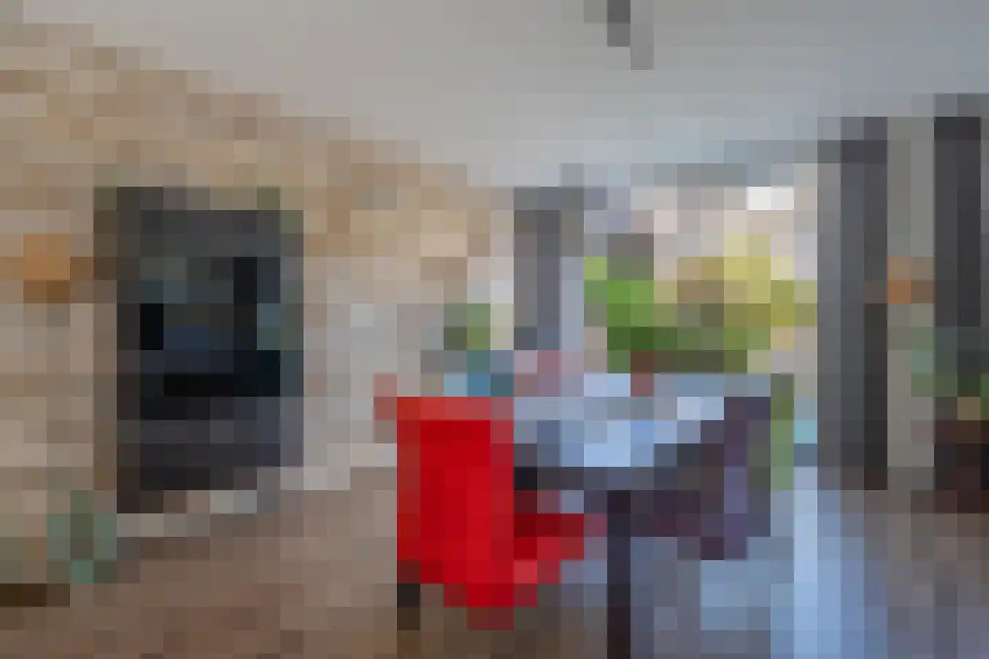 Gaarderstraat 4 Delfgauw thumbnail 19