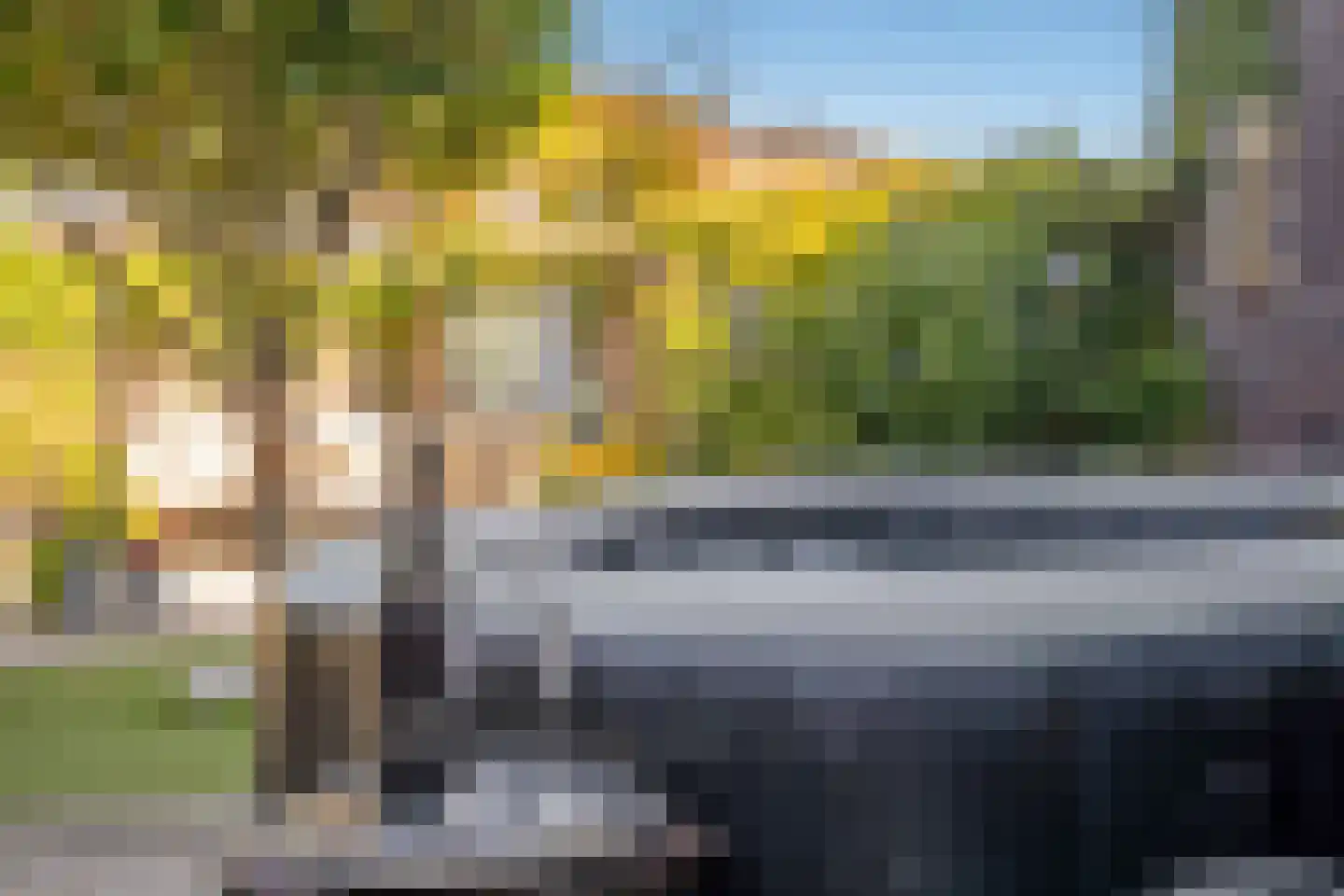 Gaarderstraat 4 Delfgauw thumbnail 23