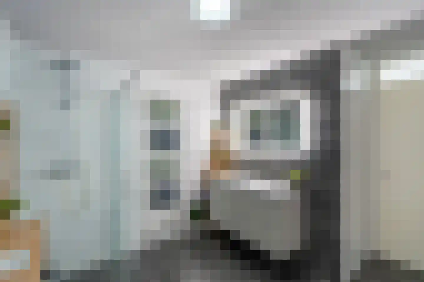 Gaarderstraat 4 Delfgauw thumbnail 34