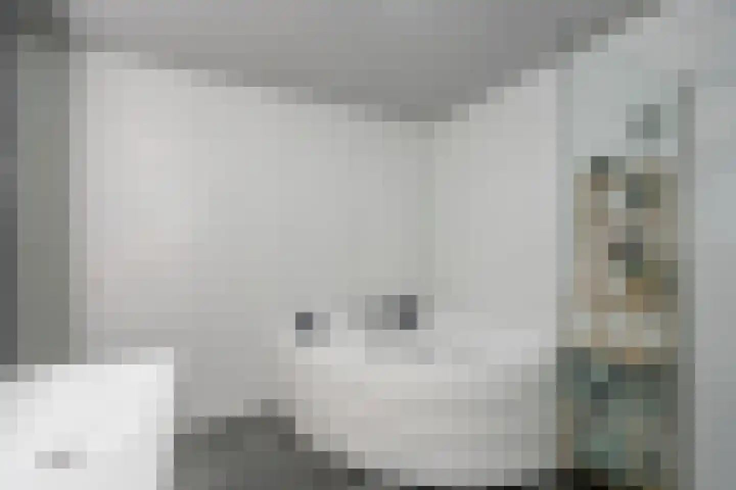Gaarderstraat 4 Delfgauw thumbnail 39