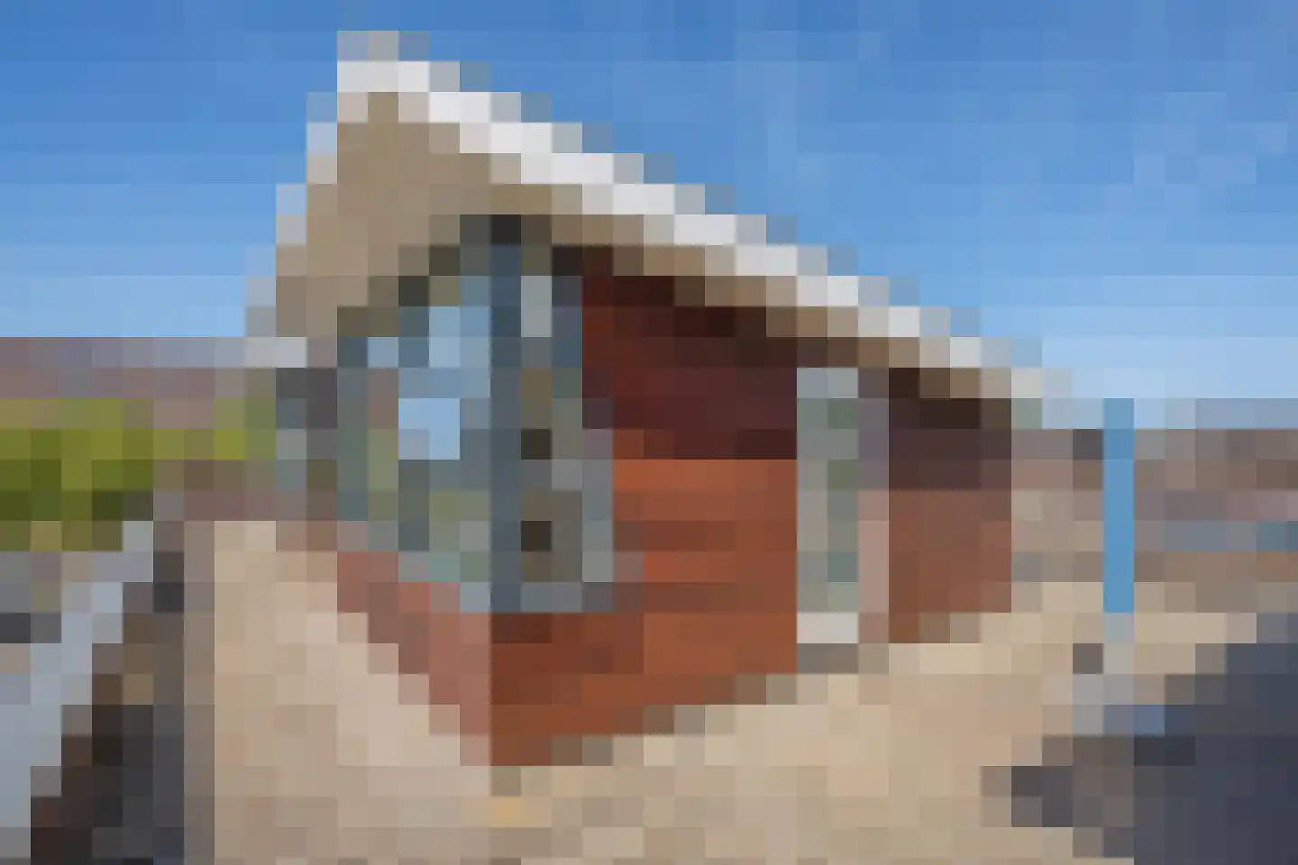 Gaarderstraat 4 Delfgauw thumbnail 44