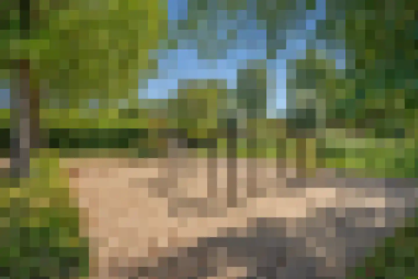 Gaarderstraat 4 Delfgauw thumbnail 47